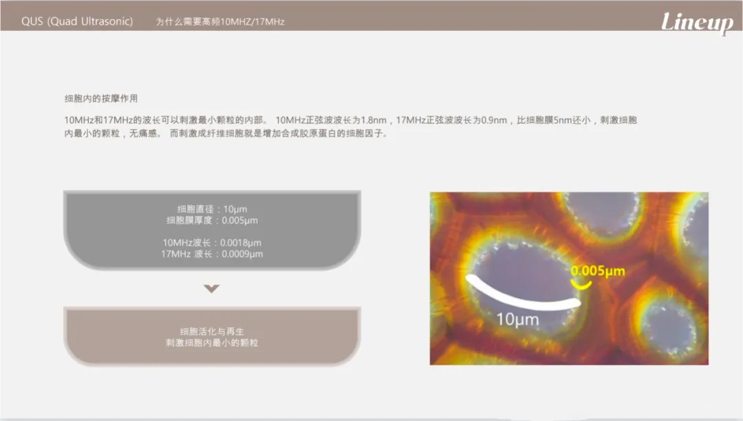 ae561733292724.jpg